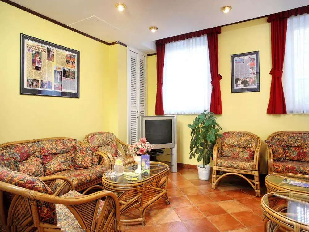 Photo 4 of Hotel Milan Vopička 